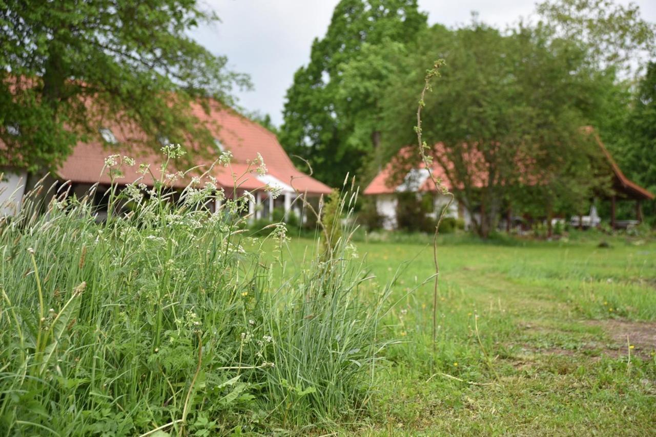 Poza Zgielkiem Villa Węgorzewo Exterior foto